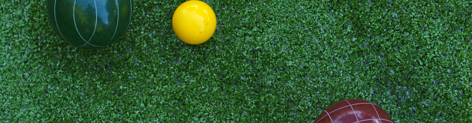 Detroit and all of Michigan Bocce Ball Turf