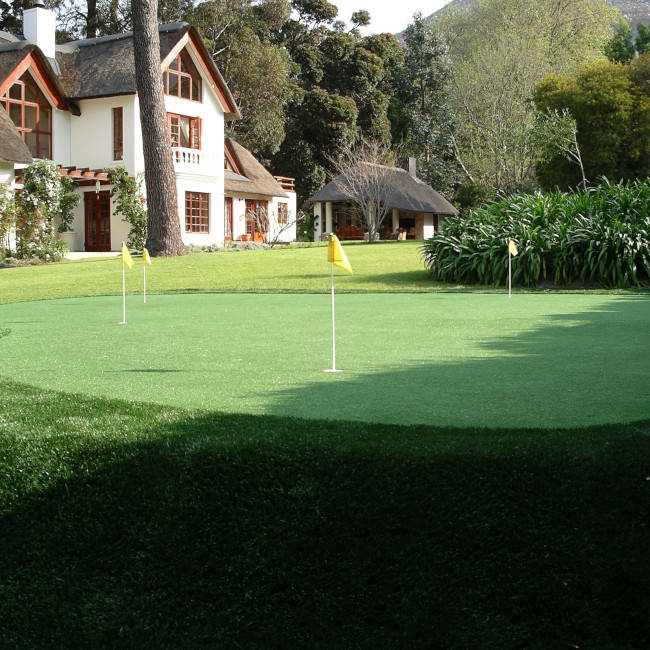 Detroit and all of Michigan Backyard Putting Green
