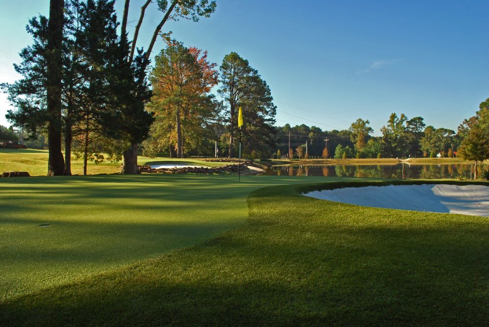 Detroit and all of Michigan Artificial Turf Golf Course