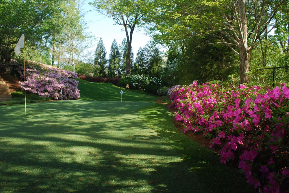 Detroit and all of Michigan backyard putting green grass