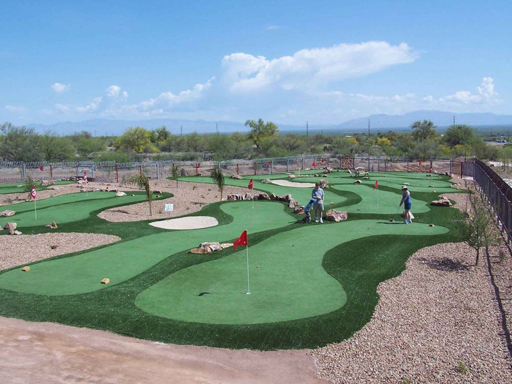 Detroit and all of Michigan putting green grass