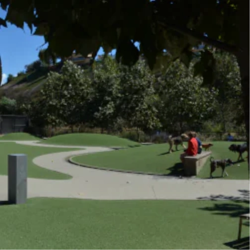 What to Review Before You Spec a Dog Park Surface in Detroit and all of Michigan