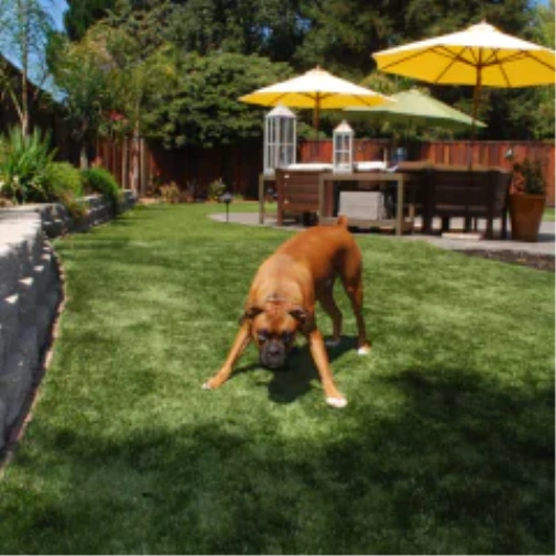 How fake grass for dogs Completely Changes Your Detroit and all of Michigan Backyard