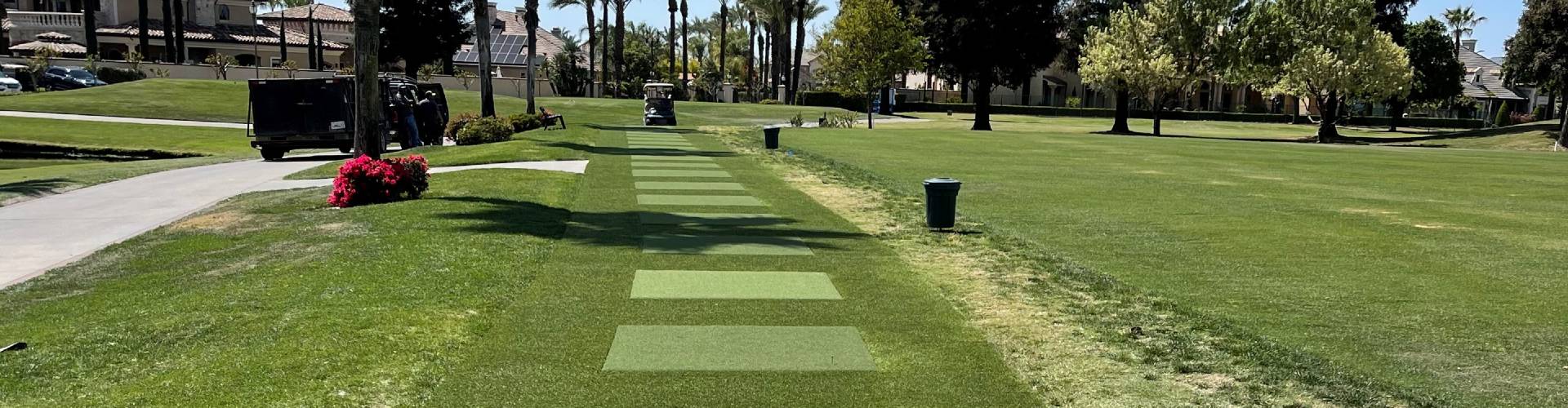 Artificial Grass Tee Lines in Detroit and all of Michigan