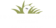 Southwest Greens of Michigan logo